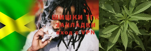 шишки Киренск