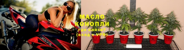 стаф Кинешма