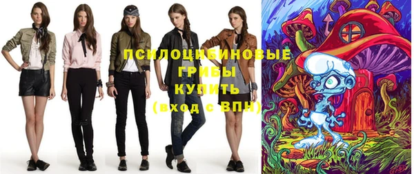 ПСИЛОЦИБИНОВЫЕ ГРИБЫ Киреевск
