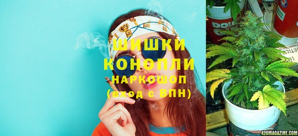 стаф Кинешма