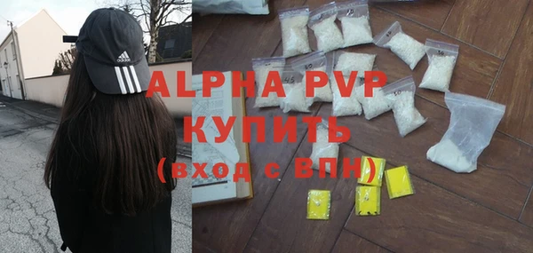 стаф Кинешма