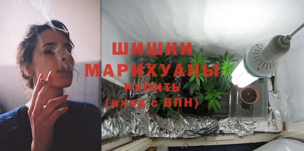 шишки Киренск