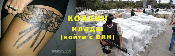 шишки Киренск