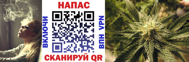 Купить  Сорочинск  Бошки марихуана Amnesia 
